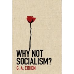 why not socialism